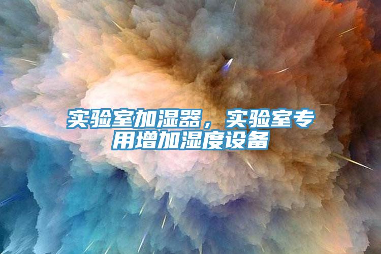 實(shí)驗(yàn)室加濕器，實(shí)驗(yàn)室專用增加濕度設(shè)備
