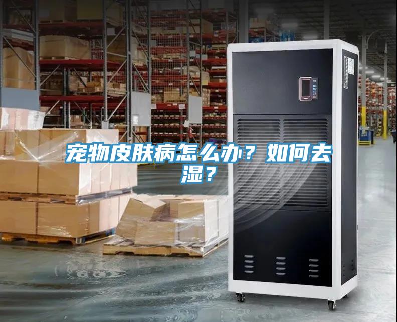 寵物皮膚病怎么辦？如何去濕？