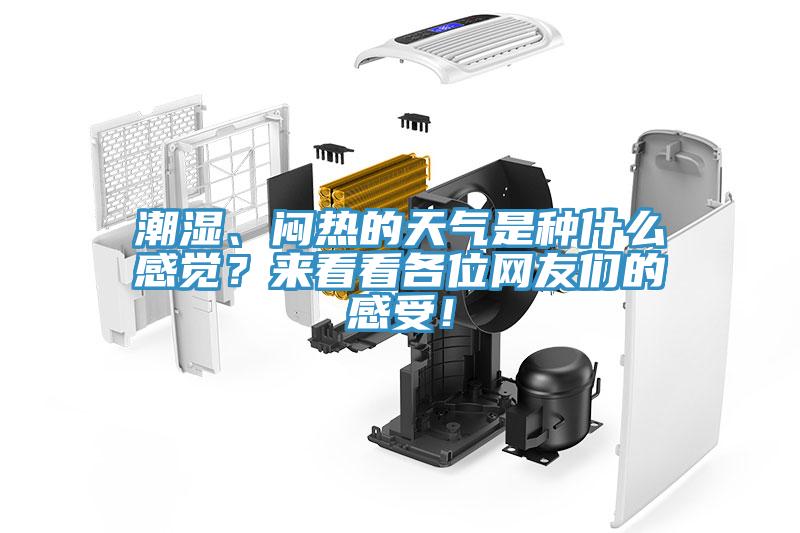 潮濕、悶熱的天氣是種什么感覺？來看看各位網(wǎng)友們的感受！