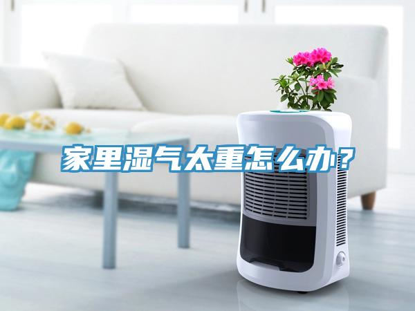 家里濕氣太重怎么辦？