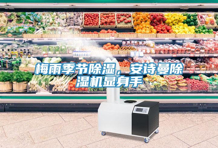 梅雨季節(jié)除濕，安詩(shī)曼除濕機(jī)顯身手