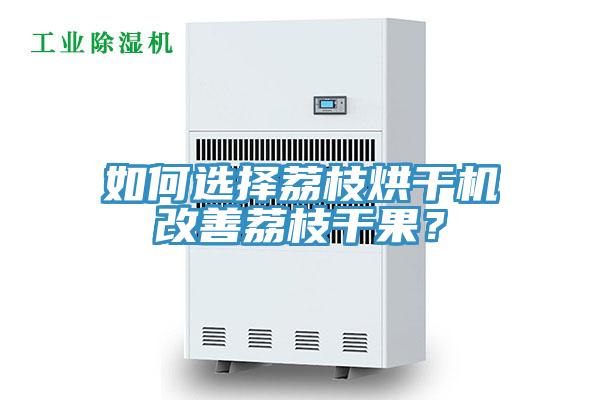 如何選擇荔枝烘干機(jī)改善荔枝干果？