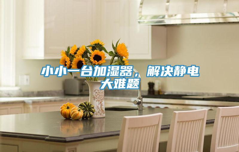 小小一臺加濕器，解決靜電大難題