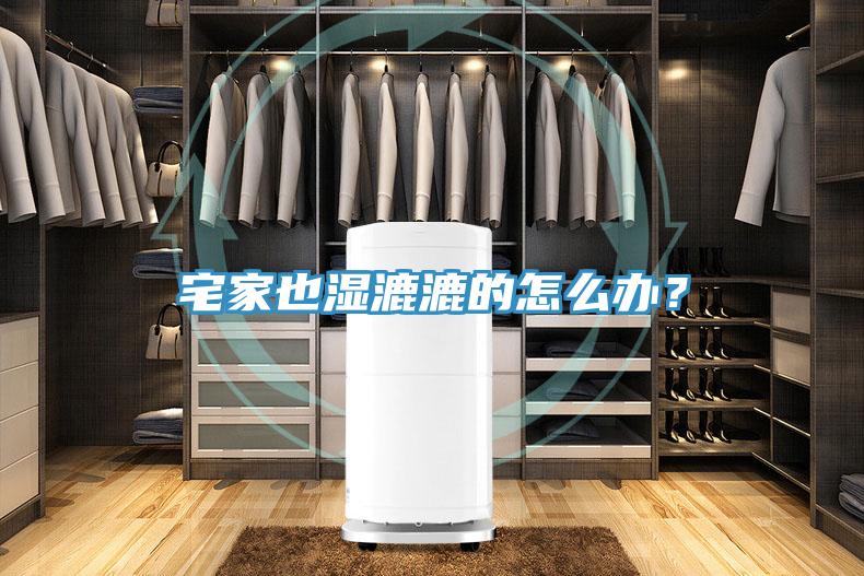 宅家也濕漉漉的怎么辦？