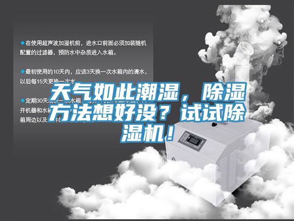天氣如此潮濕，除濕方法想好沒？試試除濕機！