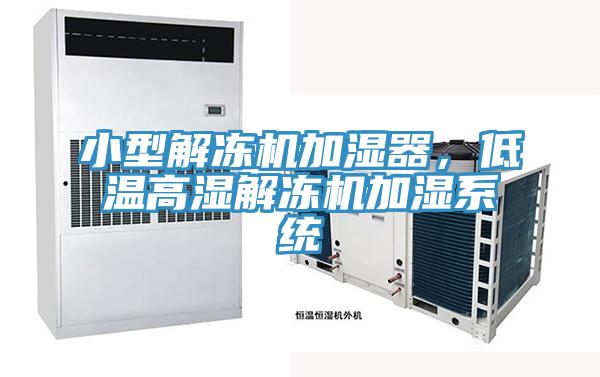 小型解凍機加濕器，低溫高濕解凍機加濕系統(tǒng)