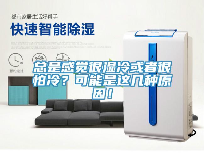 總是感覺很濕冷或者很怕冷？可能是這幾種原因！