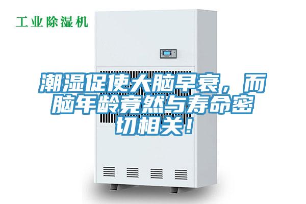 潮濕促使大腦早衰，而腦年齡竟然與壽命密切相關(guān)！