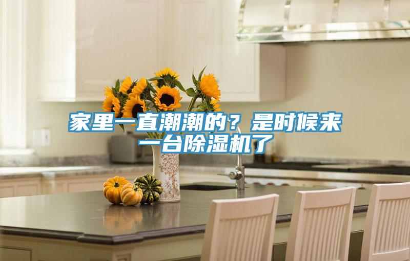 家里一直潮潮的？是時(shí)候來一臺除濕機(jī)了