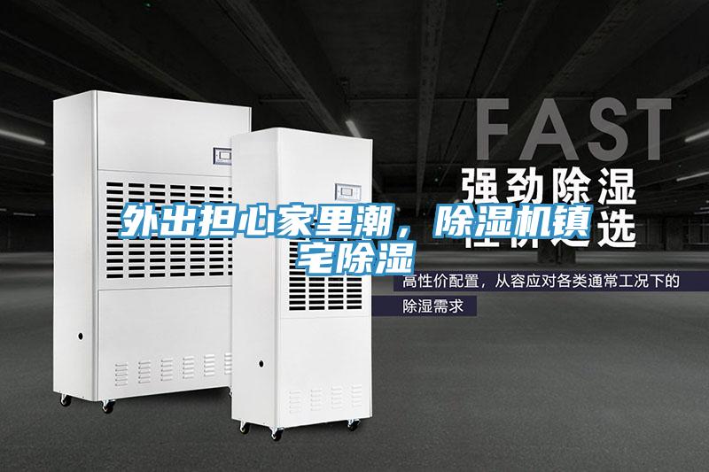 外出擔心家里潮，除濕機鎮(zhèn)宅除濕