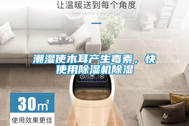 潮濕使木耳產(chǎn)生毒素，快使用除濕機(jī)除濕