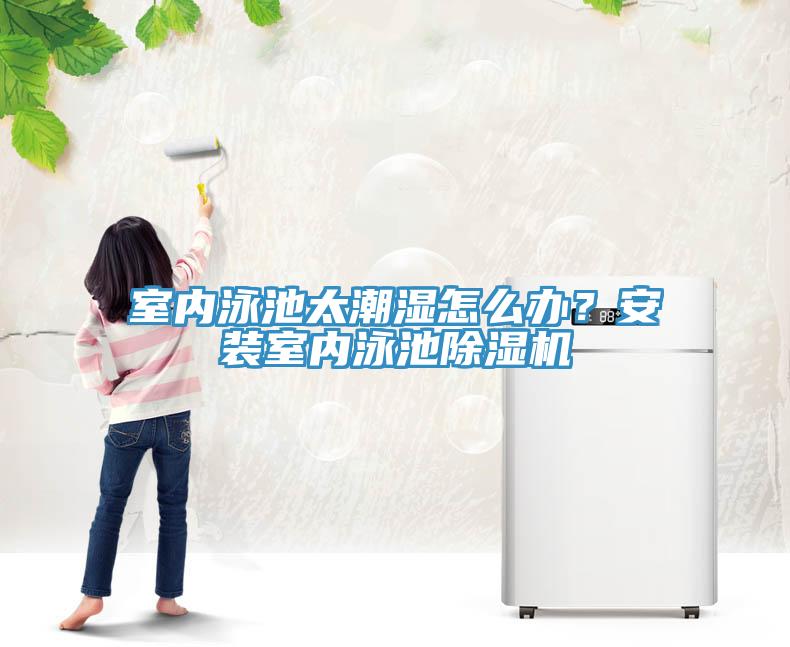 室內(nèi)泳池太潮濕怎么辦？安裝室內(nèi)泳池除濕機