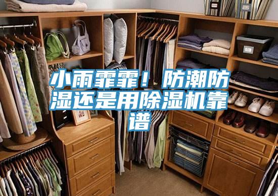 小雨霏霏！防潮防濕還是用除濕機(jī)靠譜