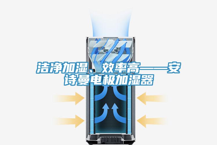 潔凈加濕、效率高——安詩(shī)曼電極加濕器
