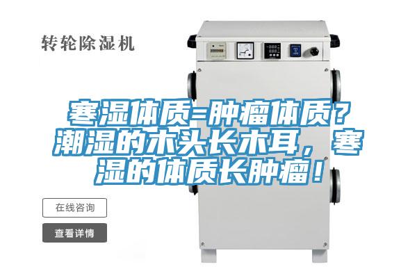 寒濕體質(zhì)=腫瘤體質(zhì)？潮濕的木頭長木耳，寒濕的體質(zhì)長腫瘤！