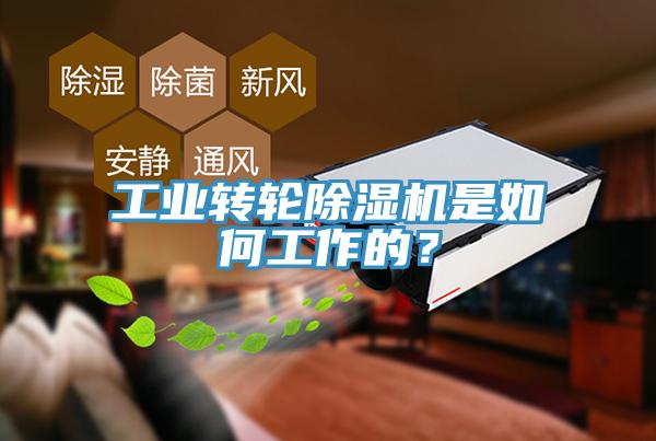 工業(yè)轉(zhuǎn)輪除濕機(jī)是如何工作的？