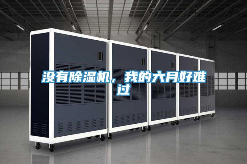 沒有除濕機，我的六月好難過