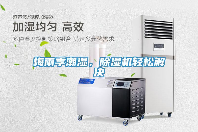 梅雨季潮濕，除濕機輕松解決