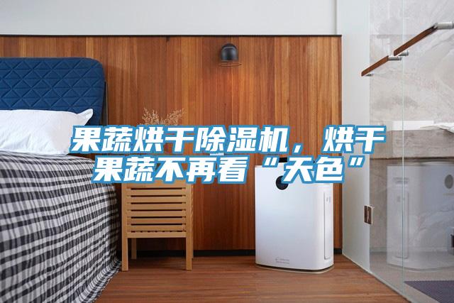 果蔬烘干除濕機(jī)，烘干果蔬不再看“天色”