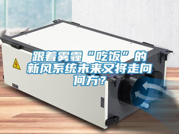 跟著霧霾“吃飯”的新風系統(tǒng)未來又將走向何方？