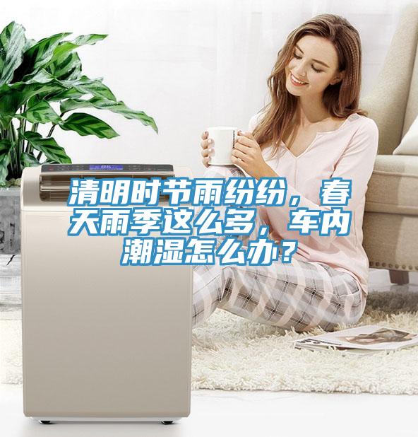 清明時(shí)節(jié)雨紛紛，春天雨季這么多，車內(nèi)潮濕怎么辦？