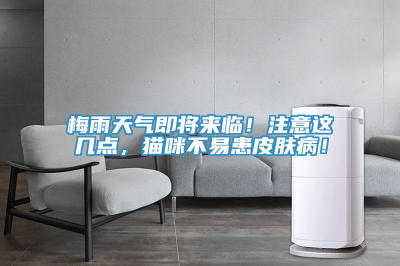 梅雨天氣即將來臨！注意這幾點，貓咪不易患皮膚?。?/></p>
                            <p style=