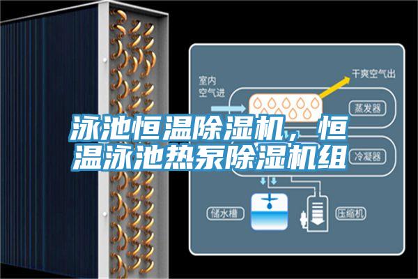 泳池恒溫除濕機，恒溫泳池熱泵除濕機組