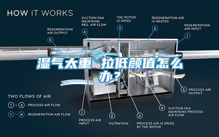 濕氣太重 拉低顏值怎么辦？