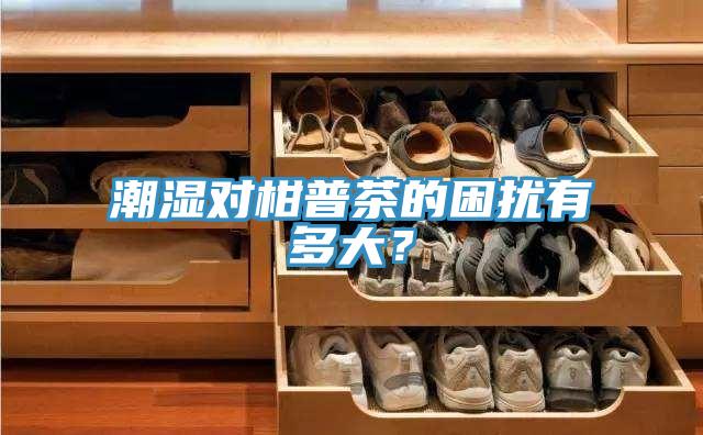 潮濕對(duì)柑普茶的困擾有多大？