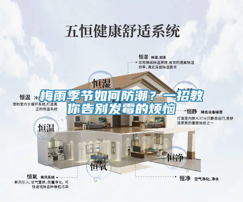 梅雨季節(jié)如何防潮？一招教你告別發(fā)霉的煩惱