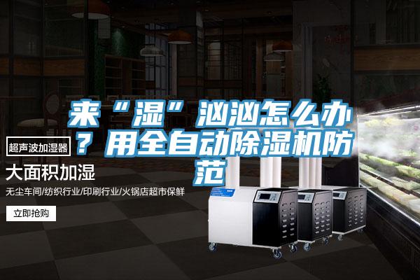 來“濕”洶洶怎么辦？用全自動除濕機防范