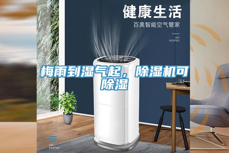 梅雨到濕氣起，除濕機(jī)可除濕