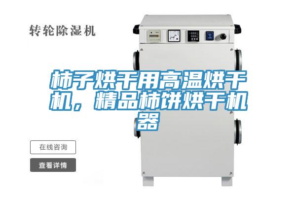 柿子烘干用高溫烘干機(jī)，精品柿餅烘干機(jī)器