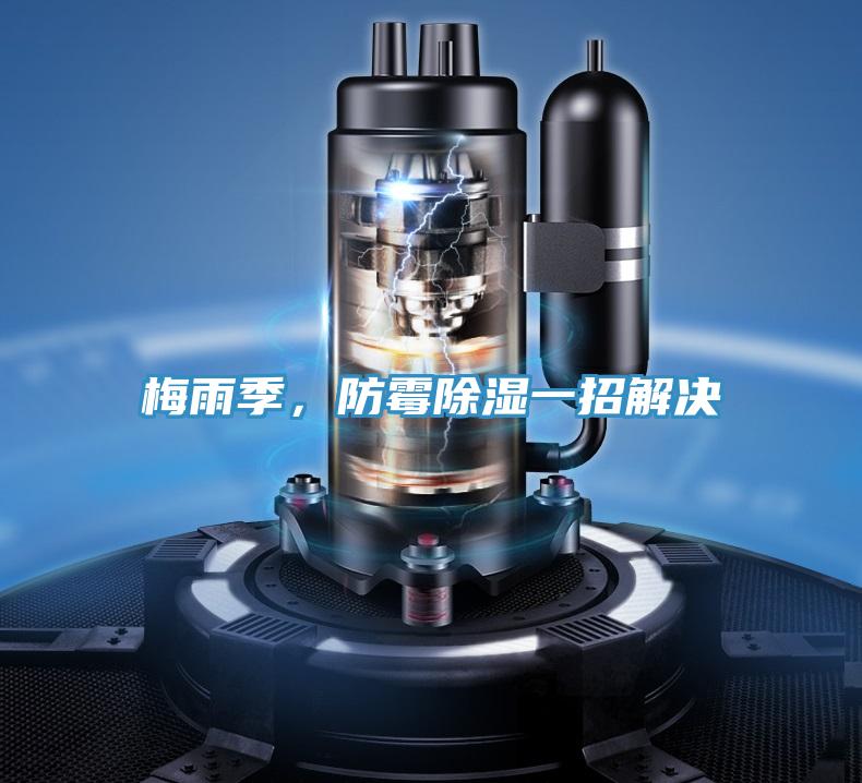 梅雨季，防霉除濕一招解決