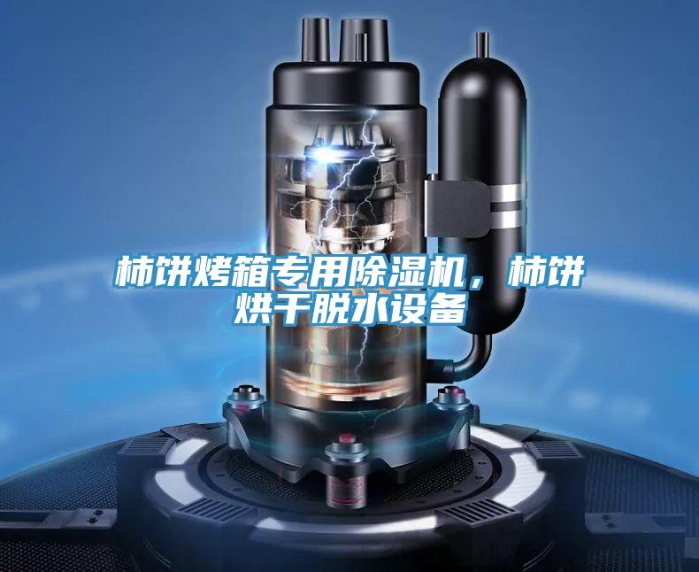 柿餅烤箱專(zhuān)用除濕機(jī)，柿餅烘干脫水設(shè)備