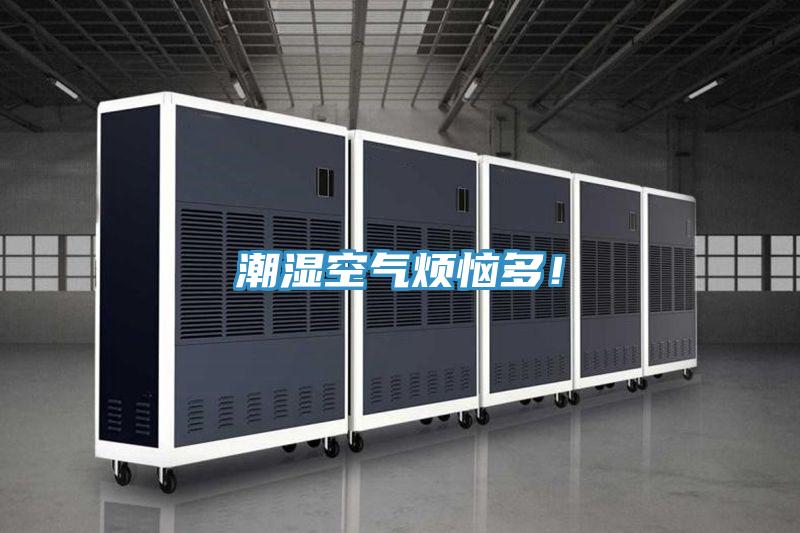 潮濕空氣煩惱多！
