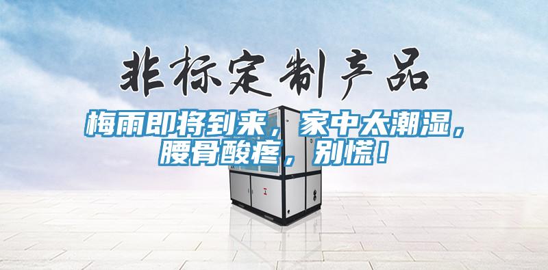 梅雨即將到來，家中太潮濕，腰骨酸疼，別慌！