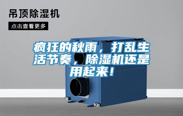 瘋狂的秋雨，打亂生活節(jié)奏，除濕機(jī)還是用起來(lái)！