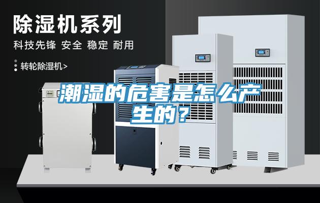 潮濕的危害是怎么產生的？