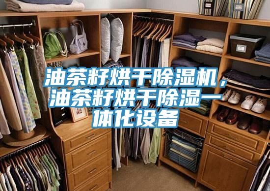 油茶籽烘干除濕機，油茶籽烘干除濕一體化設備