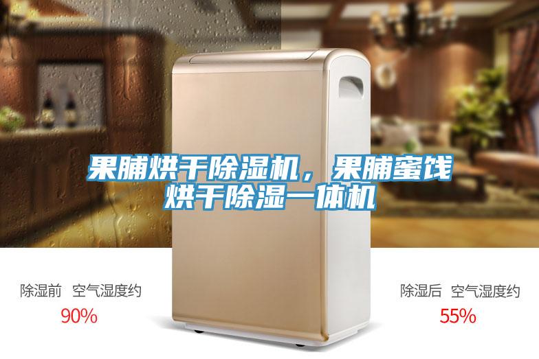 果脯烘干除濕機，果脯蜜餞烘干除濕一體機