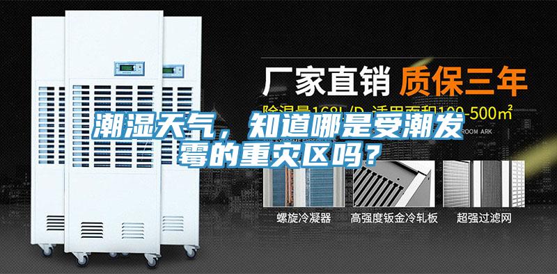 潮濕天氣，知道哪是受潮發(fā)霉的重災(zāi)區(qū)嗎？