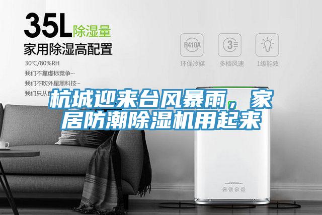 杭城迎來臺風(fēng)暴雨，家居防潮除濕機用起來