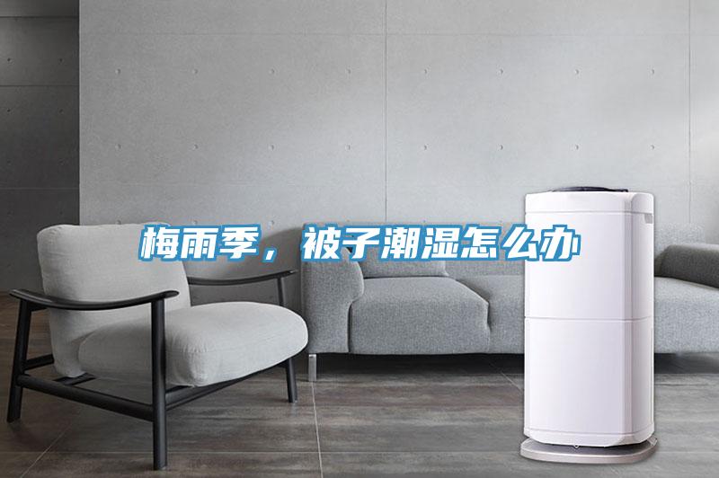 梅雨季，被子潮濕怎么辦