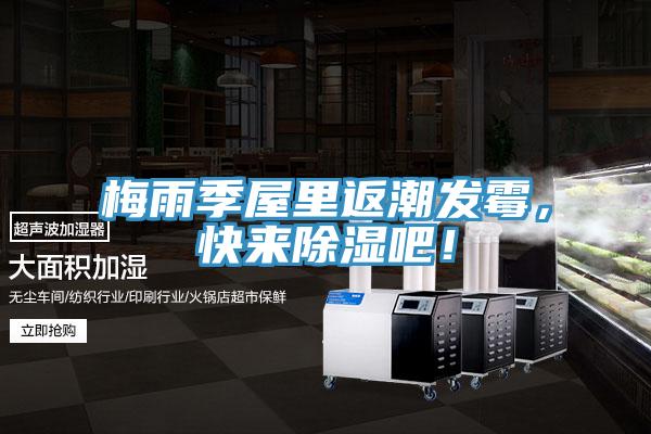 梅雨季屋里返潮發(fā)霉，快來除濕吧！