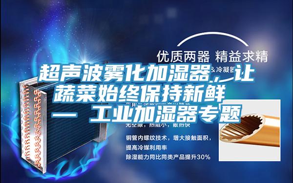 超聲波霧化加濕器，讓蔬菜始終保持新鮮 — 工業(yè)加濕器專題