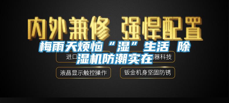 梅雨天煩惱“濕”生活 除濕機(jī)防潮實在