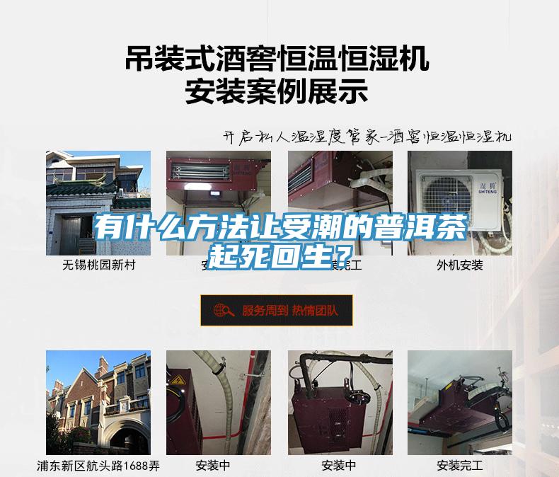 有什么方法讓受潮的普洱茶起死回生？