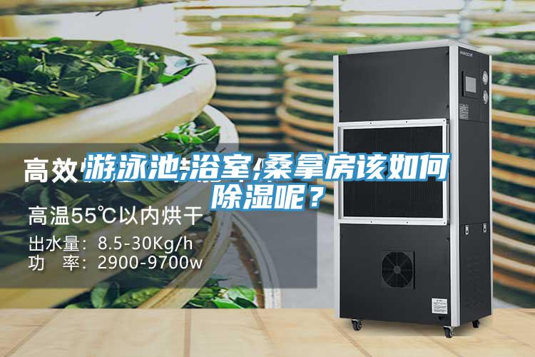 游泳池,浴室,桑拿房該如何除濕呢？