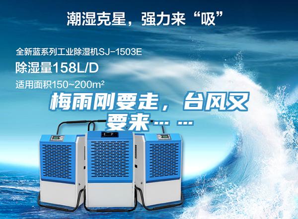 梅雨剛要走，臺風(fēng)又要來……
